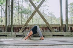 Scott Lawlor Yoga photo